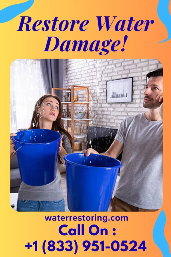 water restoration Expert Water Cleanup Team South English