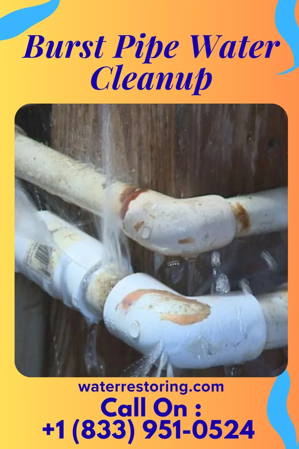 Burst Pipe Water Cleanup in South English, IA